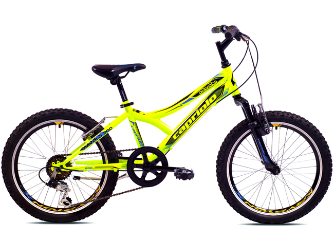 Dečiji bicikl Capriolo Diavolo 200 FS 919297-11