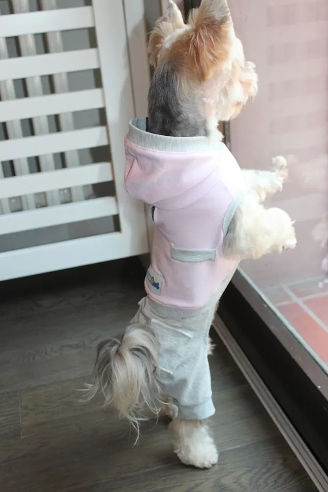 ODELO ZA PSA SREDNJE VELIČINE M LEĐA OD 41CM DO 50CM