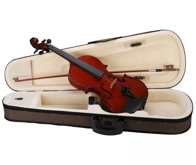 Školska violina sa koferom Soundsation VSVI 4/4