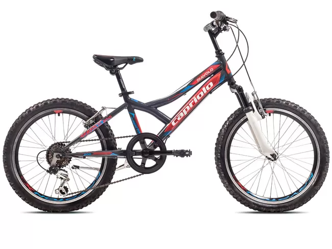Dečiji bicikl Capriolo Diavolo 200 FS 919295-11