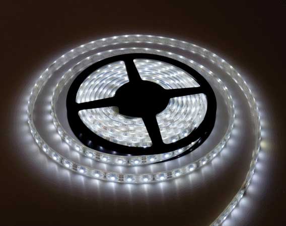 LED traka Hladno bela 60 LED/m 6W/m 5m kotur IP20 XLED2835W-60