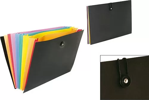 Expanding Organizer Rainbow Class 04CK09