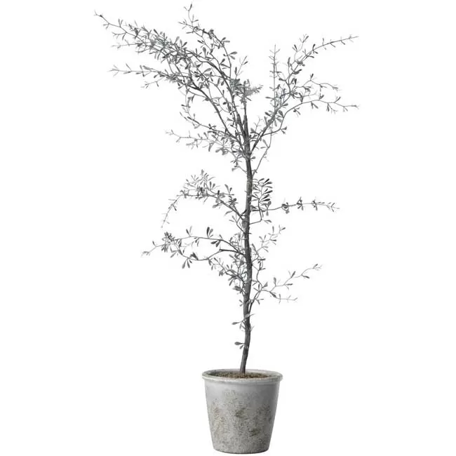 Veštačka biljka Ynga V77cm