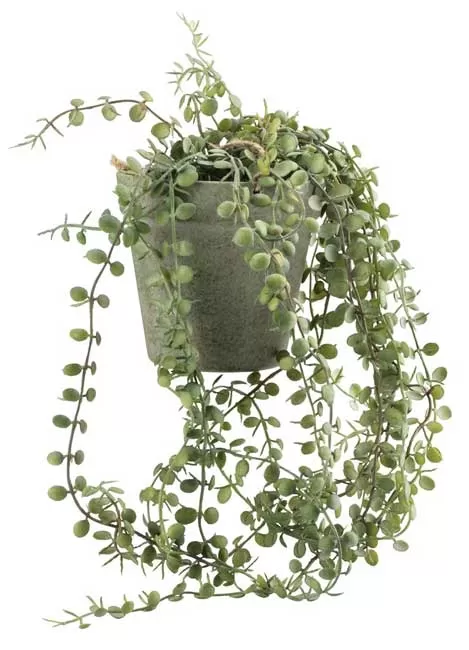 Veštačka lozica Biljka sa saksijom