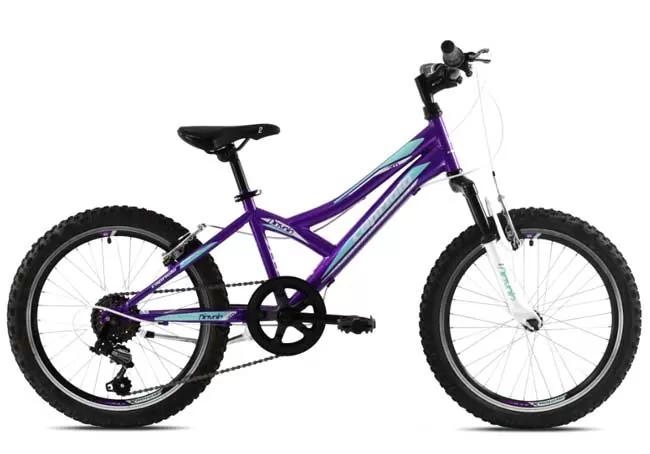 Dečiji bicikl Capriolo Diavolo 200 FS 920297-11