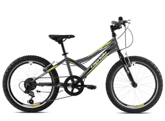 Dečiji bicikl Capriolo Diavolo 200 920291-11