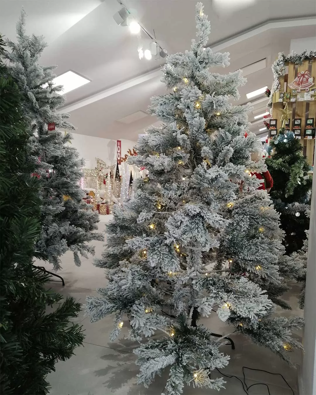 Top 10 Najprodavanijih Jelki