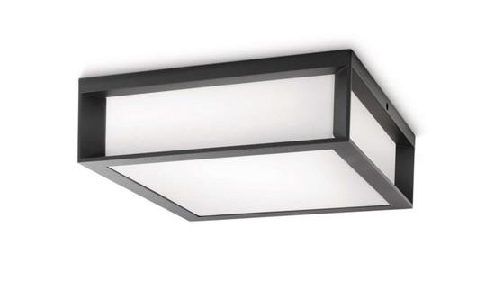 Philips Skies spoljašnja plafonska svetiljka antracit 2x14W 