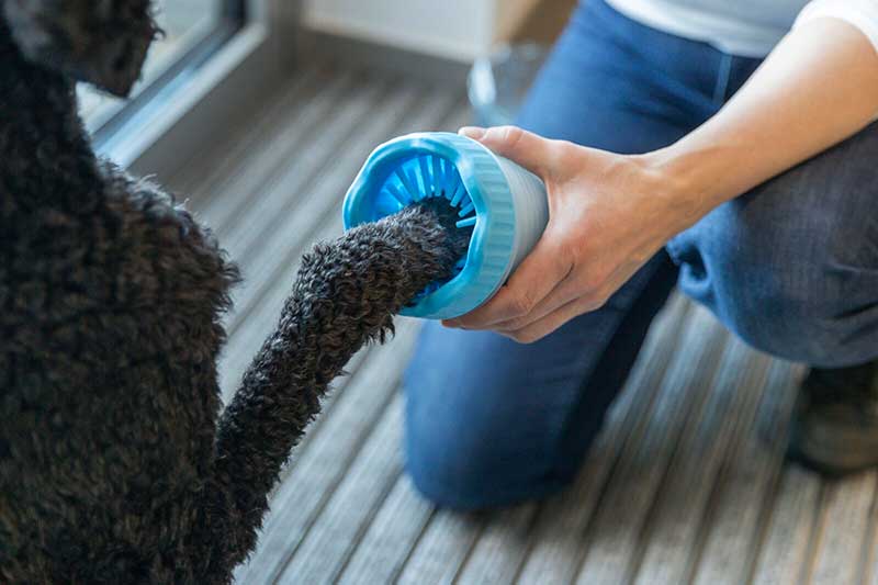 Trixie Posuda za pranje šapa veličina S-M 25704 - Image 1