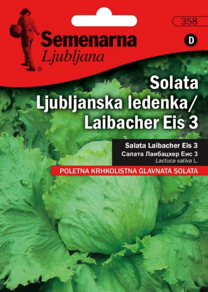 Seme 10 kesica - Zelena salata ljubljanska ledenka - Lactuca sativa L. 354