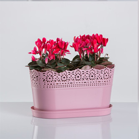 Žardinjera sa tacnom Vista jorgovan