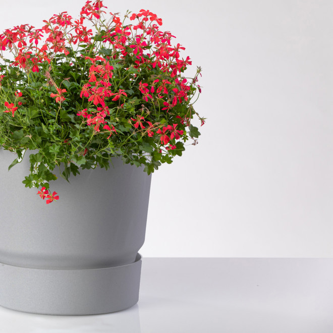 Tara saksija 30cm mermerno siva