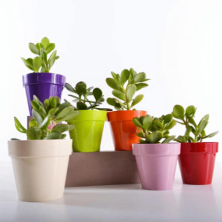 Crystal Plus saksija 14cm roze - Image 1