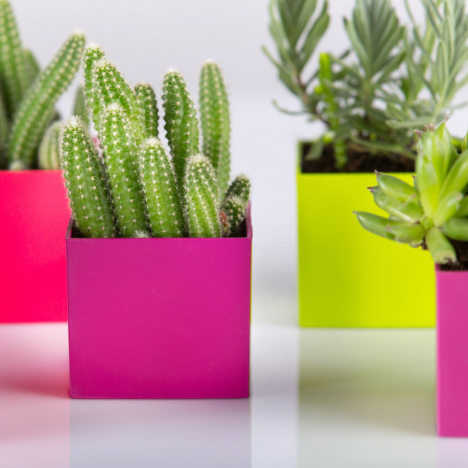 Magnetna saksija Cube 6x6 cm roze