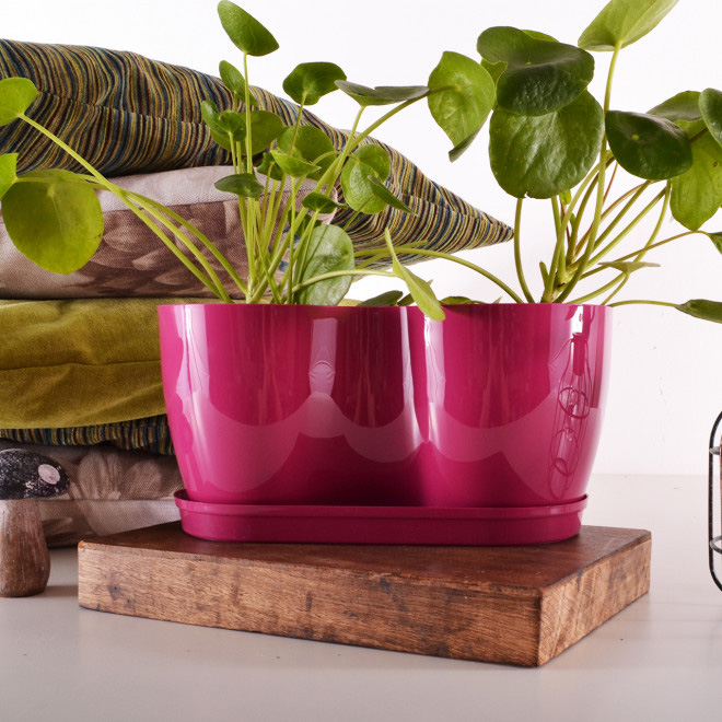 Saksija Herbs 14 cm roze