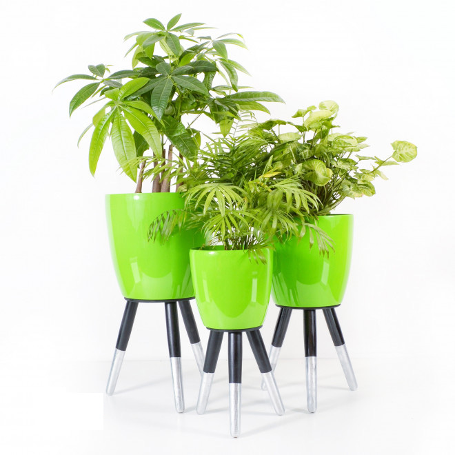 Drveni stalak srebrno-crni sa zelenom saksijom 25cm