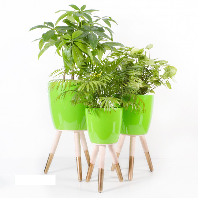 Drveni zlatno-beli stalak sa zelenom saksijom 20cm