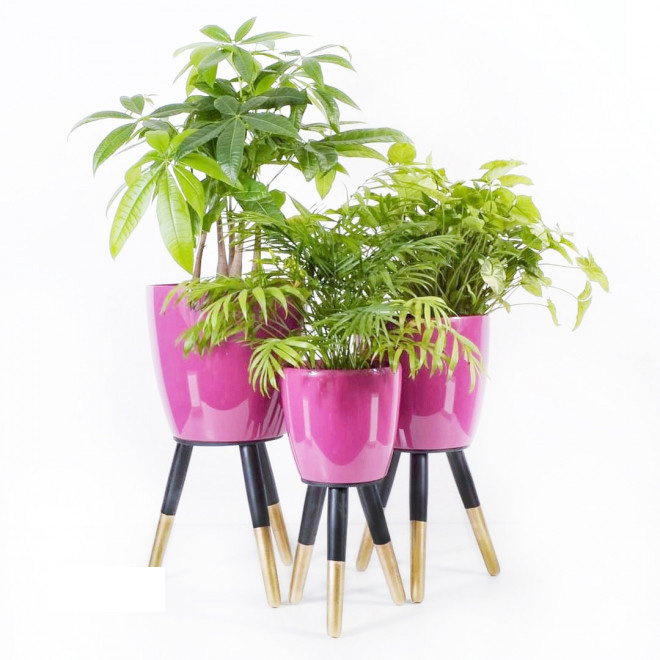 Drveni stalak zlatno-crni sa roze saksijom 20 cm