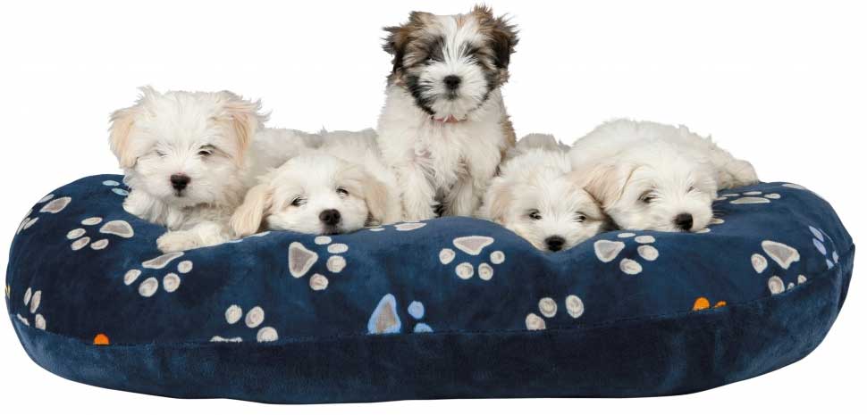 Trixie Jastuk - krevet za pse Jimmy Blue 50cm 37335