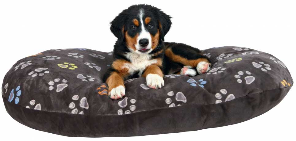 Jastuk za pse Trixie Jimmy Taupe 65cm 37331