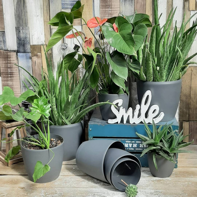 Komplet saksija u mat sivoj boji 8 komada