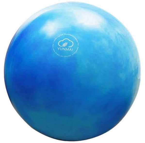 Yunmai Lopta za pilates 65cm YMYB-P202 Plava