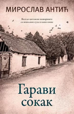 Garavi sokak - Miroslav Antić