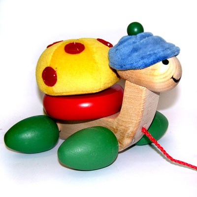 ToyCompany Kornjača TC185 - dodatni pogled