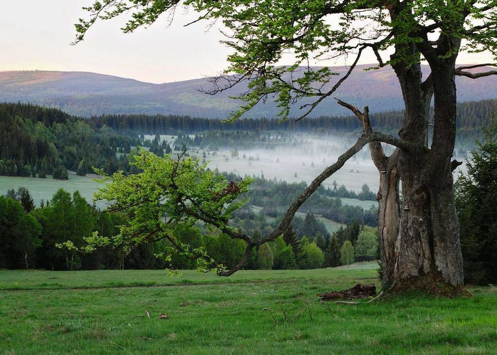 Puzzle slagalica 1000 delova Nacionalni park Šumava, Češka Ravensburger 16867 - dodatni pogled