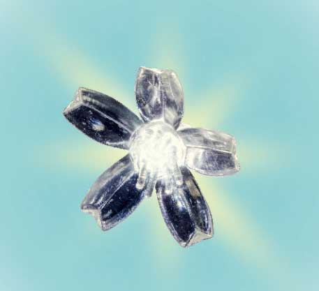 Ukrasno svetleće drvo Divlja trešnja 200cm LED - dodatni pogled