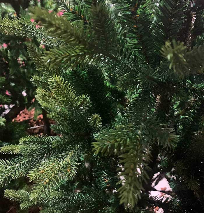 Novogodišnja jelka Everlands Queensland slim fir 210cm - dodatni pogled