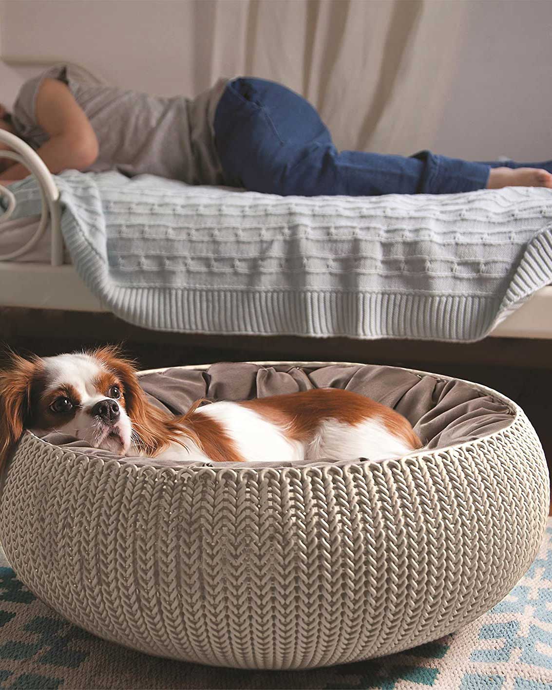 Krevet Za Pse Malih i Srednjih Rasa i Mačke Curver Cozy - Boja Peska - dodatni pogled