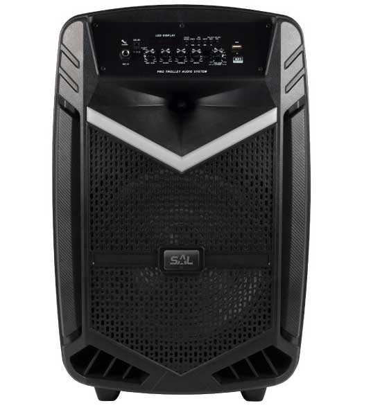 Bluetooth zvučnik 40W sa punjivom baterijom PAR30BT - dodatni pogled