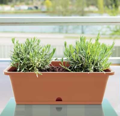 Žardinjera 50cm Prosperplast Camelia DCM500-R624 - dodatni pogled