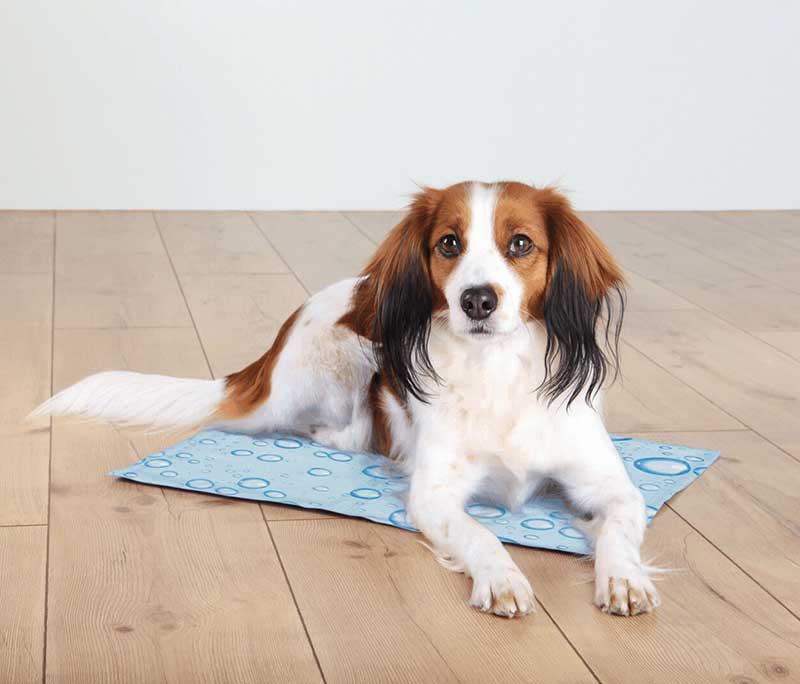 Prostirka za hlađenje za pse 40x30cm Trixie 28776 - dodatni pogled