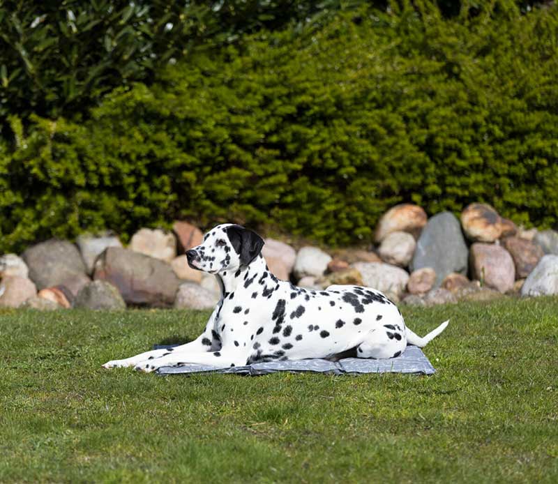 Meka prostirka za hlađenje za pse 65x50cm Trixie 28786 - dodatni pogled