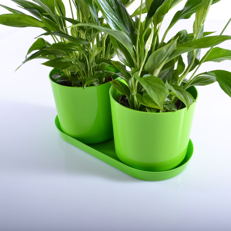 Komplet 2 saksije sa tacnom Drama Mix and PlaY zelena - dodatni pogled