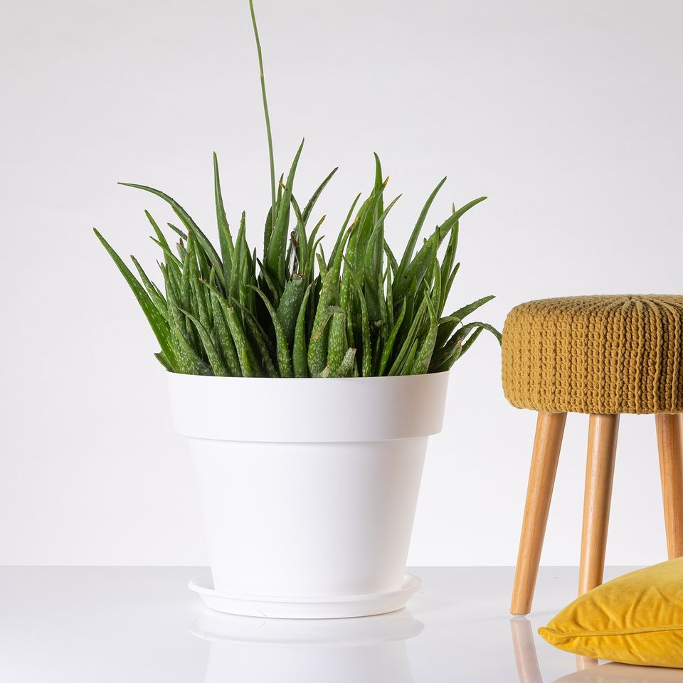 Velika saksija za cveće sa tacnom Standard 40 bela - dodatni pogled