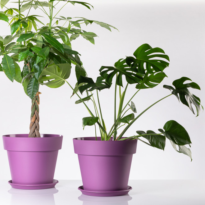 Velika saksija za cveće sa tacnom Standard 40 lavanda - dodatni pogled