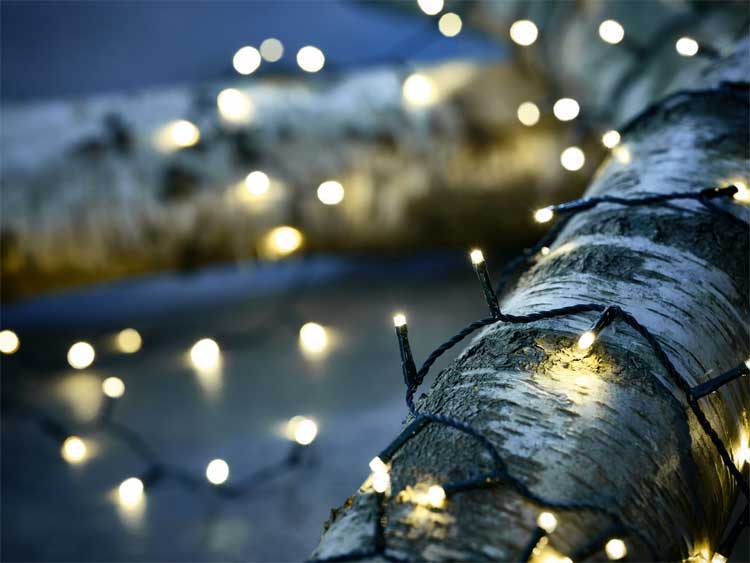 Dekorativne lampice sa 150 LED dioda Za spoljnu upotrebu Frost - dodatni pogled