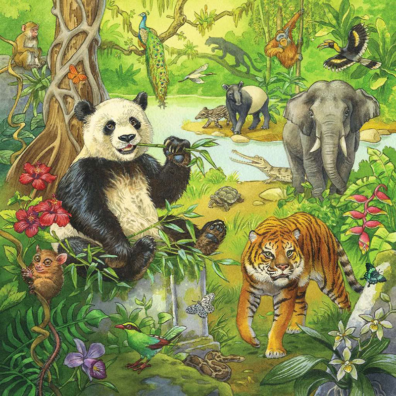 Zabavna džungla Puzzle slagalica 3x49 delova Ravensburger 05180 - dodatni pogled