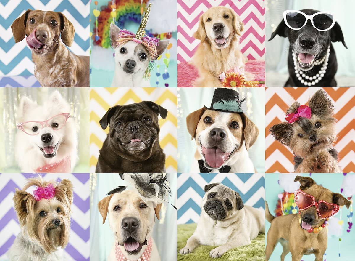 Ravensburger Puzzle 100 XXL delova Prerušeni psi 10870 - dodatni pogled