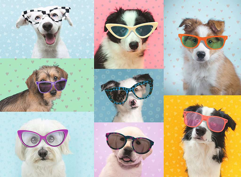 Ravensburger Puzzle 150 XXL delova Smešne kuce 13288 - dodatni pogled