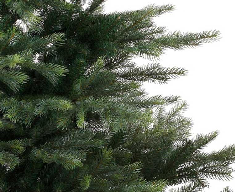 Novogodišnja jelka Everlands Grandis fir 240cm - dodatni pogled