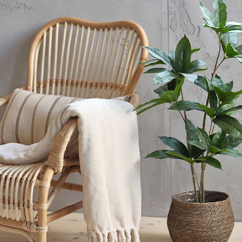 Veštačka biljka Šeflera 90cm - dodatni pogled