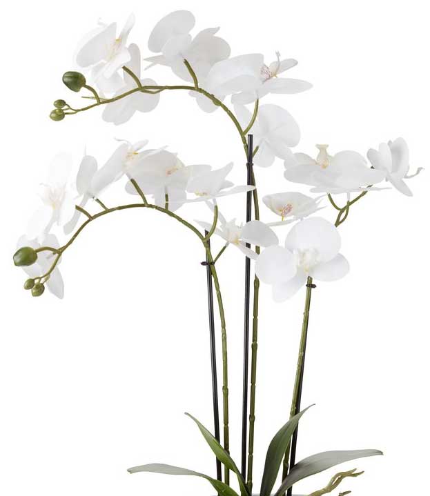 Veštačka biljka Orhideja 62cm - dodatni pogled