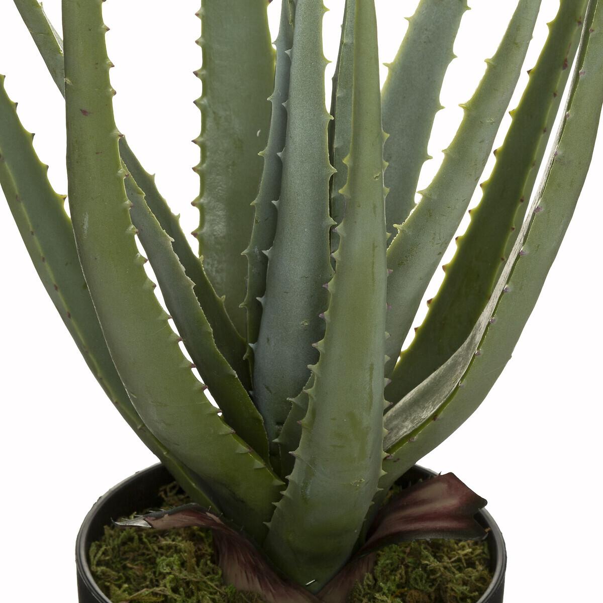 Atmosphera Dekorativno Cvece Aloe Visine 44 cm - dodatni pogled
