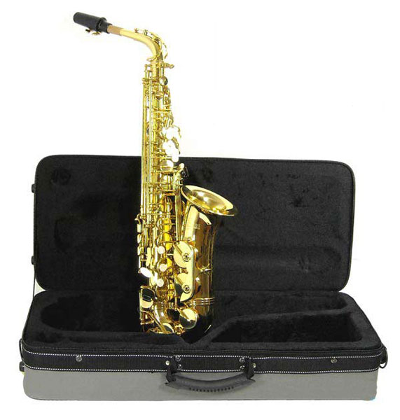 Roy Benson Alt Saksofon AS 202 - dodatni pogled