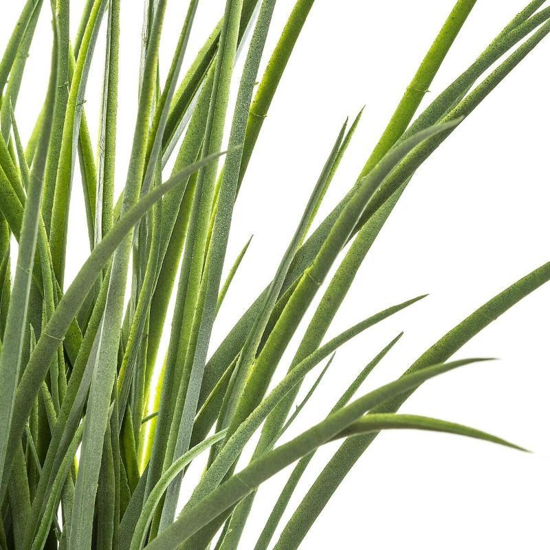 Atmosphera Veštačka Trava u Saksiji - dodatni pogled