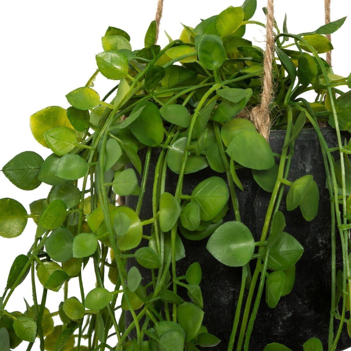 Atmosphera Dekorativna Zidna Biljka - dodatni pogled